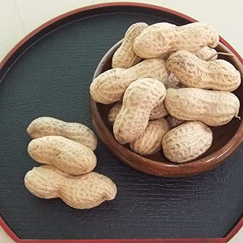 煎ざや（千葉半立）220g 千葉県産八街落花生