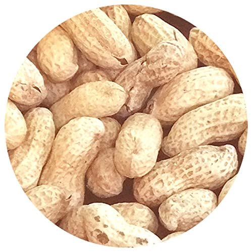 煎ざや（千葉半立）300g2個セット 千葉県産八街落花生