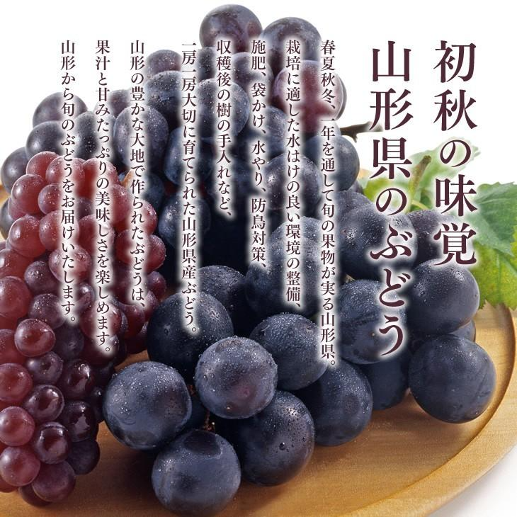 訳あり ピオーネ 約2kg(房数おまかせ) ぶどう 山形県産 送料無料 gr05【ゲリラセール】