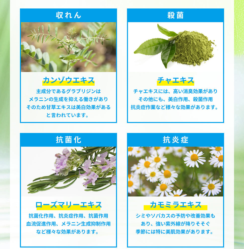 【最安値挑戦祭】【医薬部外品】薬用 デオドラントクリーム NOI モーニングデオ 50g ノイ ニオイケア 大容量 消臭 防臭 制汗 体臭 ワキガ 足の ニオイ 消す 臭い 朝 消臭ジェル デオドラント 消臭クリーム 長時間 対策 汗 蒸れ 不快臭 定型内 送料無料