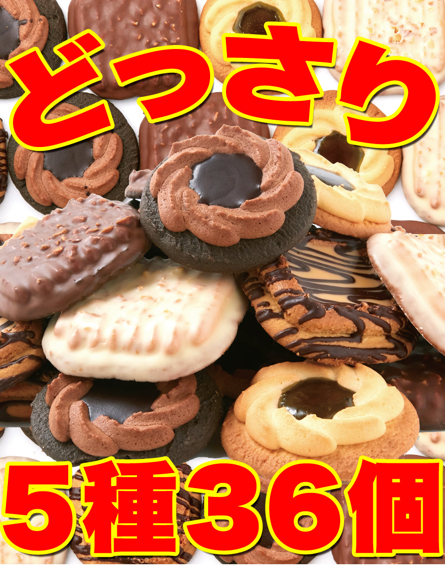 ロシアケーキ 5種 36個 個包装 洋菓子 クッキー 焼菓子 おやつ お菓子 ロシアンケーキ ビター ミルク キャラメル ホワイトチョコ キウイ チョコ