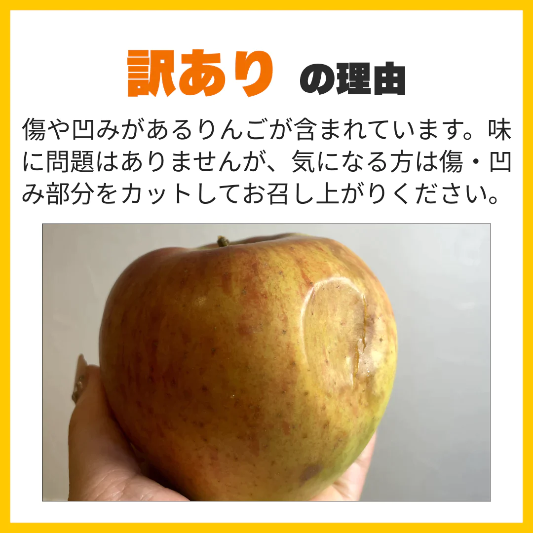 訳ありレスキューりんご 約3kg 長野県産 家庭用  品種混合 果物 フルーツ【順次出荷】【ゲリラセール】