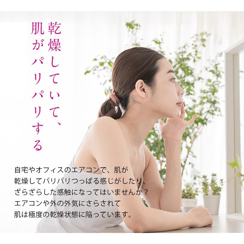 【美ルル ウルミスト】1年間保証フェイシャルスチーマー プレゼント ギフト 加湿器 微粒子ミスト 保湿 乾燥 ミスト スチーム スチーマー フェイス 美容 美顔器 フェイススチーマー