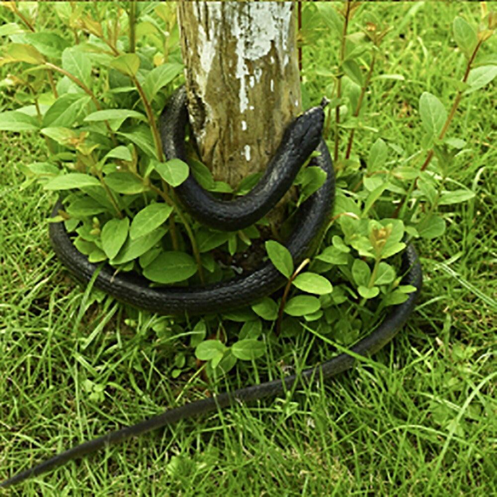 玩具 蛇 ヘビ スネーク snake おもしろ ドッキリ ガラガラヘビ パーティーグッズ 恐怖 爬虫類 悪ふざけ ジョーク おもちゃ 誕生日 クリスマス ギフト サプライズ 手品 マジック マジシャン magic 木製 友人 家族 パーティー