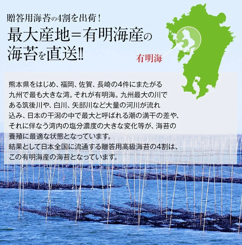 【ご新規さんとシェア買い】海苔 国産 有明海育ち 香り豊かな 磯の香り のり たっぷり全型30枚入り 送料無料 (半切60枚分に相当) 乾物 乾燥海苔《7-14業日以内に出荷予定(土日祝日除く)》