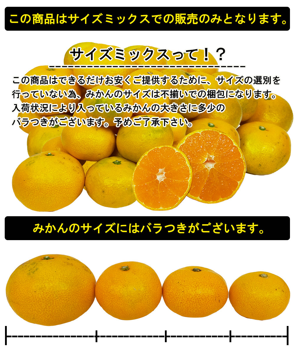 みかん 早生みかん 4kg ミカン 蜜柑 サイズミックス 果物 甘い 箱買い 産地直送 熊本みかん 熊本県産 ngs-007