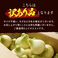 【超シェア買い祭】今井ファーム　 淡路島 新玉ねぎ かくし玉　５K  ＃かくし玉訳あり5Ｋ＃