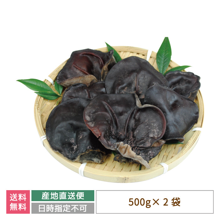 生きくらげ 1箱(500g×2袋入り)『きわみ』常温便 *