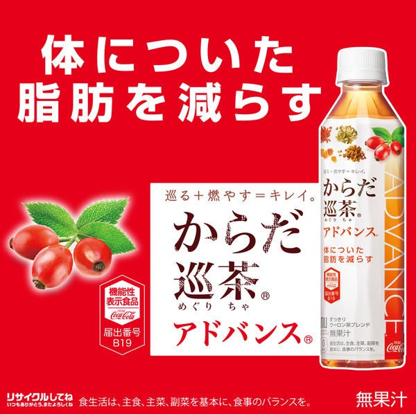 【送料無料】【機能性表示食品】コカ コーラ からだ巡茶 アドバンス 410ml×2ケース/48本