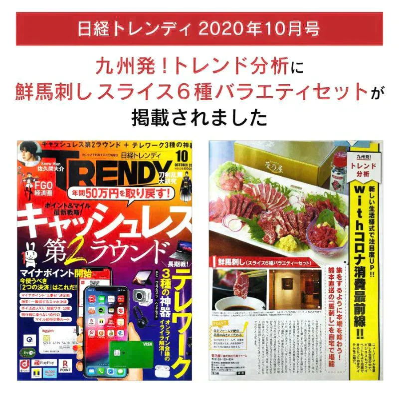 馬刺し 桜うまトロ（馬肉ネギトロ）計300g(60g×5p) 馬肉専門店 菅乃屋  熊本直送 【ゲリラセール】
