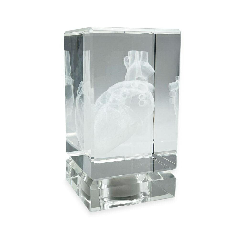 クリスタル　オブジェ　アート Amazon | ライブDio ZX AF35 立体 クリスタル エンブレム