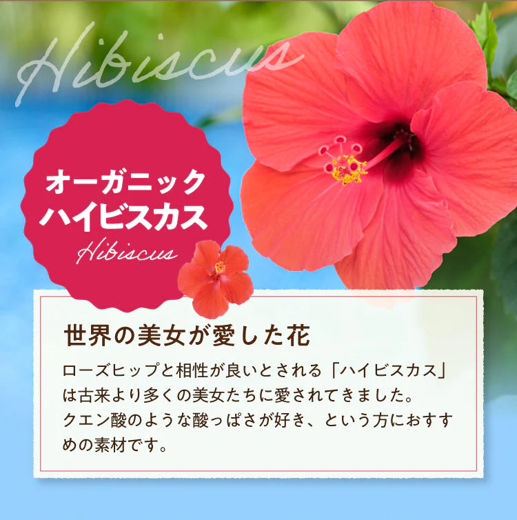 【タイムセール】アレンジルイボスティー 有機ローズヒップ カップ用 ティーバッグ 30個入