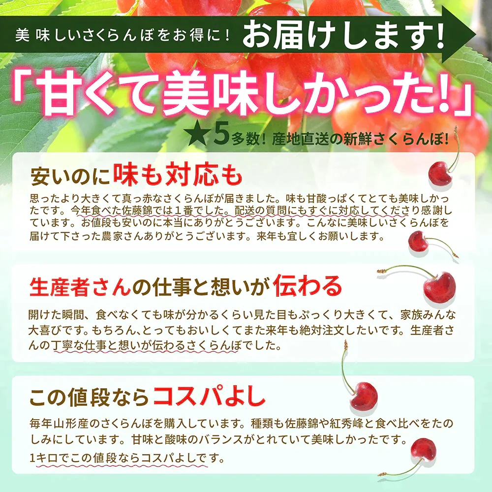 【6月下旬発送】 さくらんぼ 1kg お徳用 佐藤錦 or 紅秀峰 他 山形県産 バラ詰めお一人様2箱まで 家庭用 数量限定 産地直送 訳あり サイズ混合 送料無料 ※遠方へは別途送料がかかります 品種の指定はできません 果物 大特価