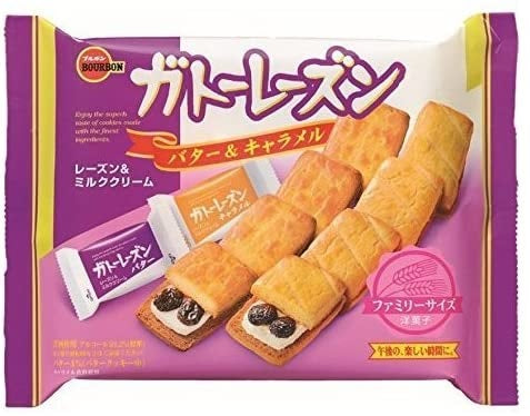 【送料無料】ブルボン ガトーレーズン ファミリーサイズ(10コ入) 36個/3ケース1