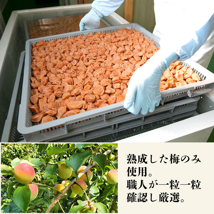 梅干し うめぼし しそ梅 はちみつ 紅白セット 減塩 3％ 和歌山県産 500g×2 計1kg 紀州南高梅 常温便