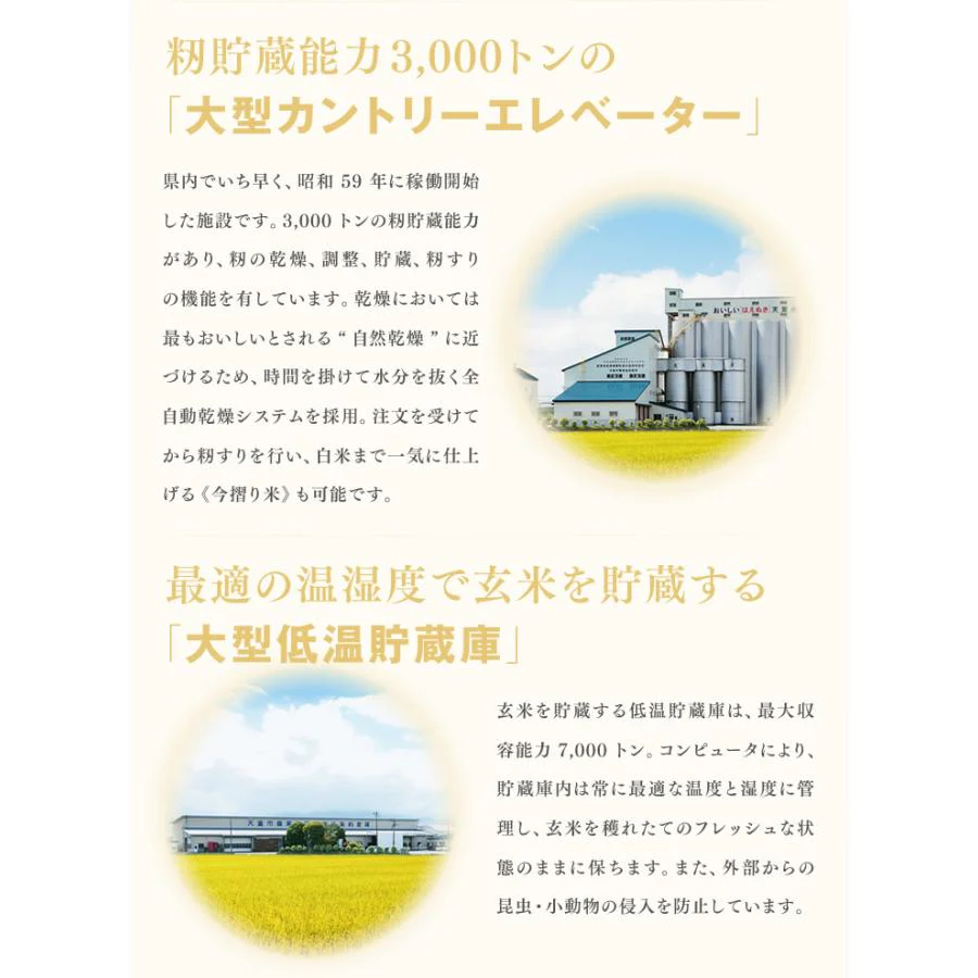 【山形県産米100％】 山形県産ブレンド米5kg×2【エコ得】