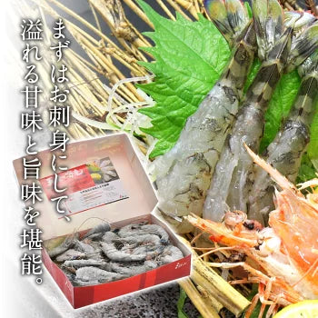 ニューカレドニア産　天使の海老 1kg 40/50サイズ 40～50尾入り［冷凍のみ］【送料無料】【4～5営業日以内に出荷】
