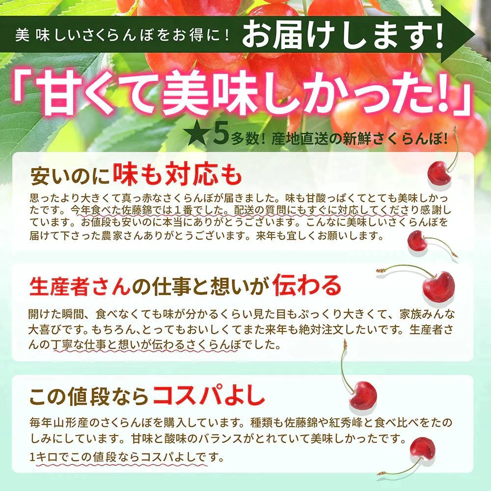 【6月下旬発送】 さくらんぼ 1kg お徳用 佐藤錦 or 紅秀峰 他 山形県産 バラ詰めお一人様2箱まで 家庭用 数量限定 産地直送 訳あり サイズ混合 送料無料 ※遠方へは別途送料がかかります 品種の指定はできません 果物 大特価【エコ得SALE】