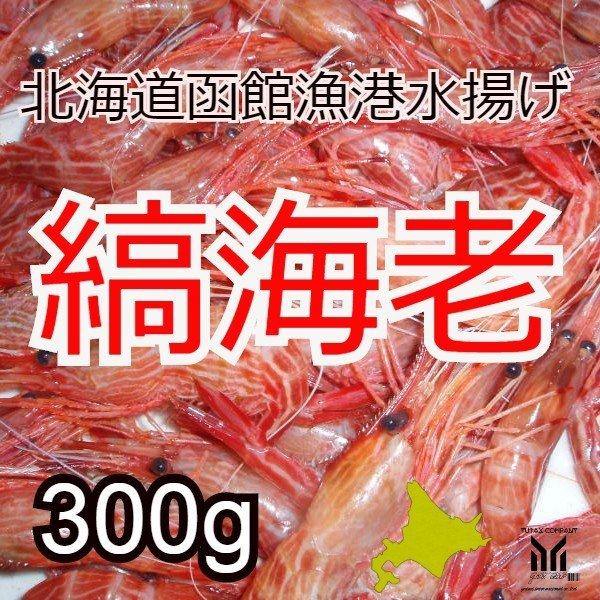 北海道 函館漁港水揚げ 縞海老 300g