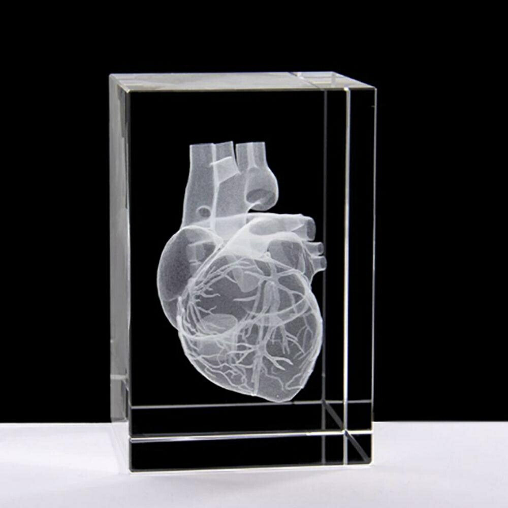 クリスタル オブジェ アート Amazon | ライブDio ZX AF35 立体