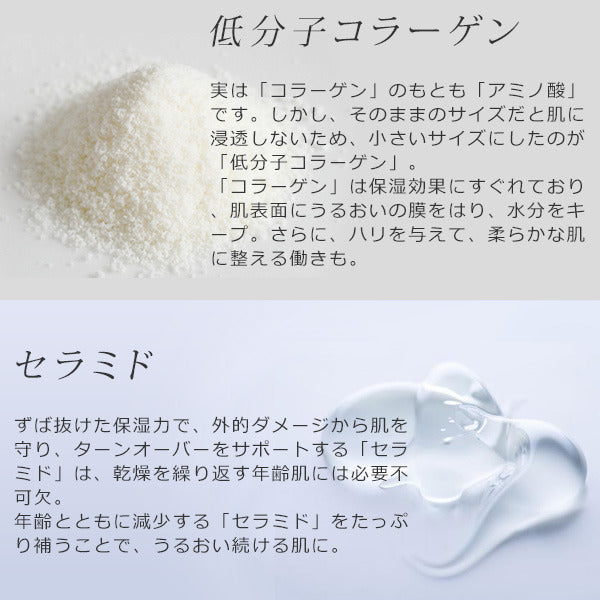 エビス〔ebis〕アミノローションPREMIUM　30日分1ヶ月お試しセット