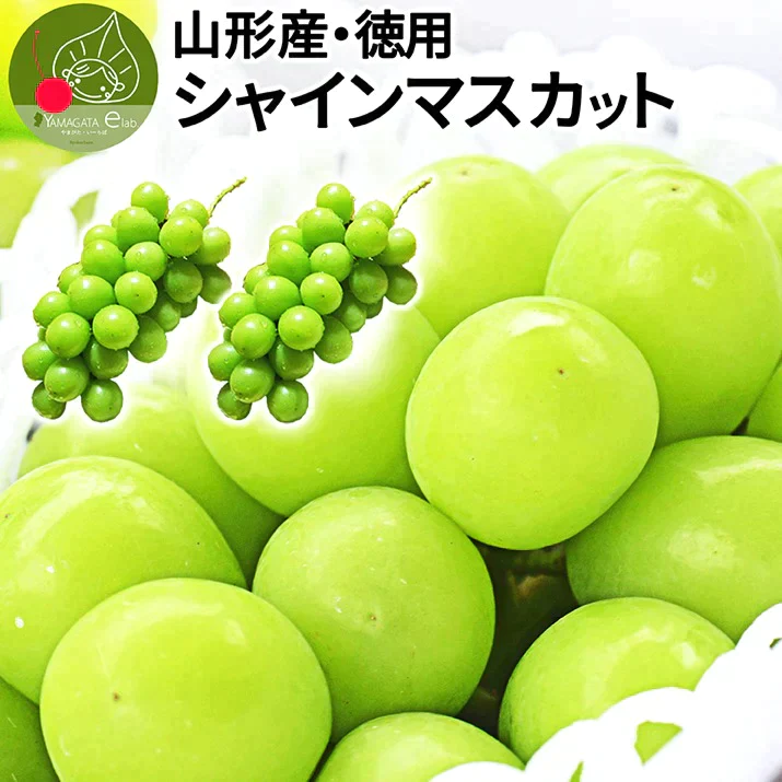 【9月下旬発送】 シャインマスカット 産地直送 2〜3房入り（約1kg前後） 山形県産 お徳用 大粒 訳ありぶどう 山形県から産地直送 種無し 大粒 送料無料 果物