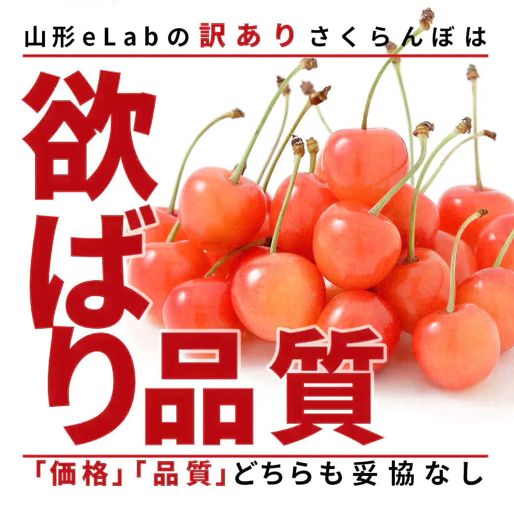 6月下旬発送】 さくらんぼ 1kg お徳用 佐藤錦 or 紅秀峰 他 山形県産 バラ詰めお一人様2箱まで 家庭用 数量限定 産地直送 訳あ – カウシェ