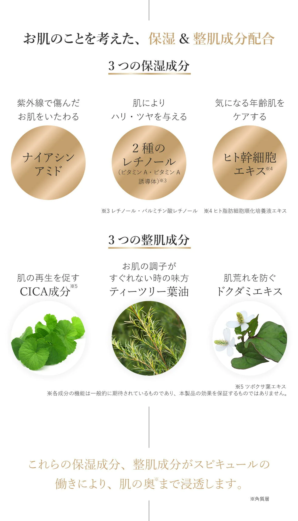 【ライトオークル】スピキュール クッションファンデーション SPF42 PA+++ 2色 針ファンデ 肌荒れ くすみ 肌トラブル 敏感肌 乾燥肌 ナイアシンアミド レチノール ヒト幹細胞 ティーツリー 化粧下地 コスメ マスクメイク 日焼け止め メイク コスメ 日本製 定形外 250 送料込み