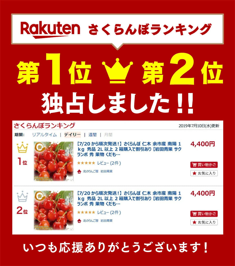 【７月中旬～下旬出荷】紅秀峰 さくらんぼ 800g 北海道 余市町 仁木町産