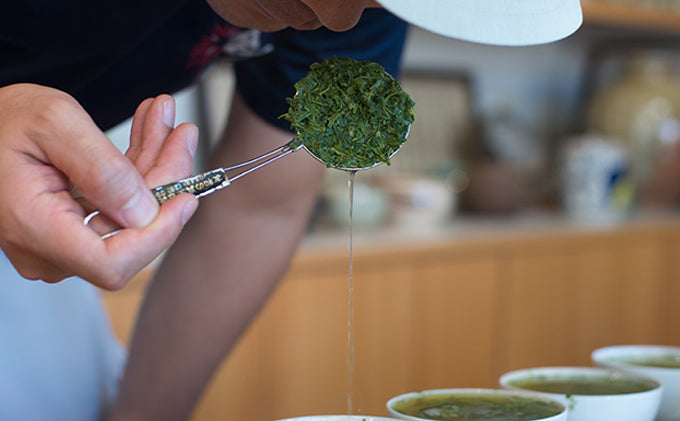 100g×3 訳あり特選深蒸し茶