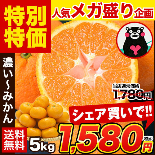 大粒 みかん 訳あり 5kg 熊本 送料無料 フルーツ 訳ありみかん 大玉 家庭用 果物 柑橘 箱買い たっぷり5キロ【特産品・ご当地特集】