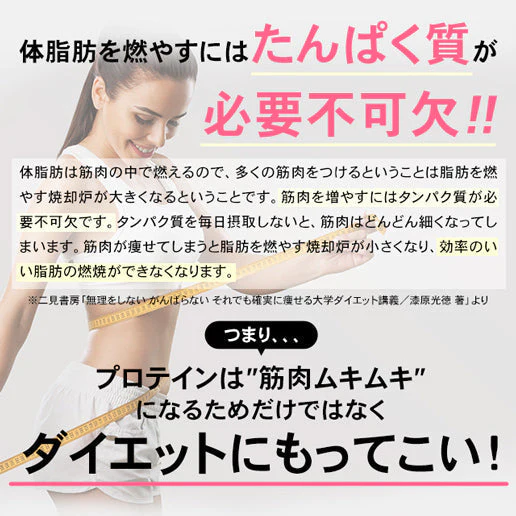 【超シェア買い祭】1kg（500g×2）女性向けプロテイン 【ダークチョコ】 tive プロテイン ホエイプロテインとソイプロテインのＷプロテイン製法 ホエイ ソイ ダイエット 置き換えダイエット 送料無料