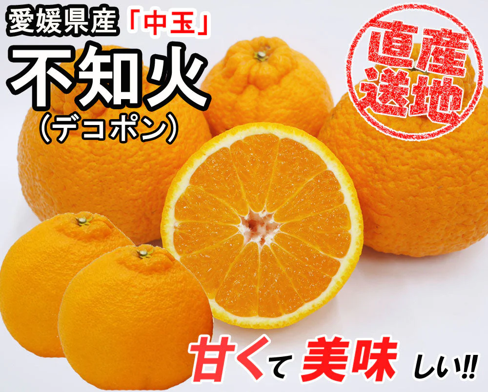 不知火 (デコポン) 5kg 中玉 送料無料 ご家庭用 箱買い みかん 柑橘 フルーツ 果物 産地直送 愛媛県産 YDF-010