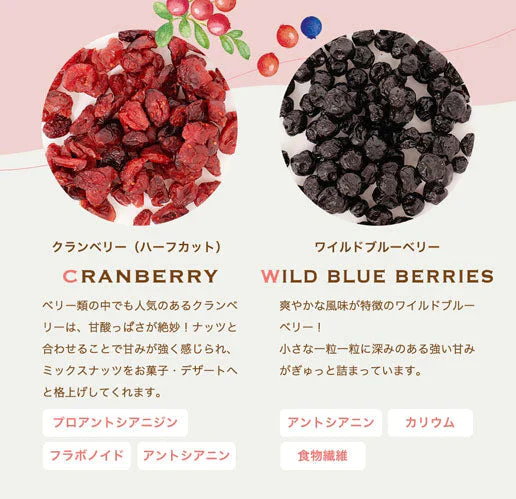 【超シェア買い祭】500g 2種のベリー入りミックスナッツ『ラッキーベリーナッツ 』 (250g×2)無塩 ナッツ くるみ カシューナッツ アーモンド クランベリー ワイルドブルーベリー 送料無料
