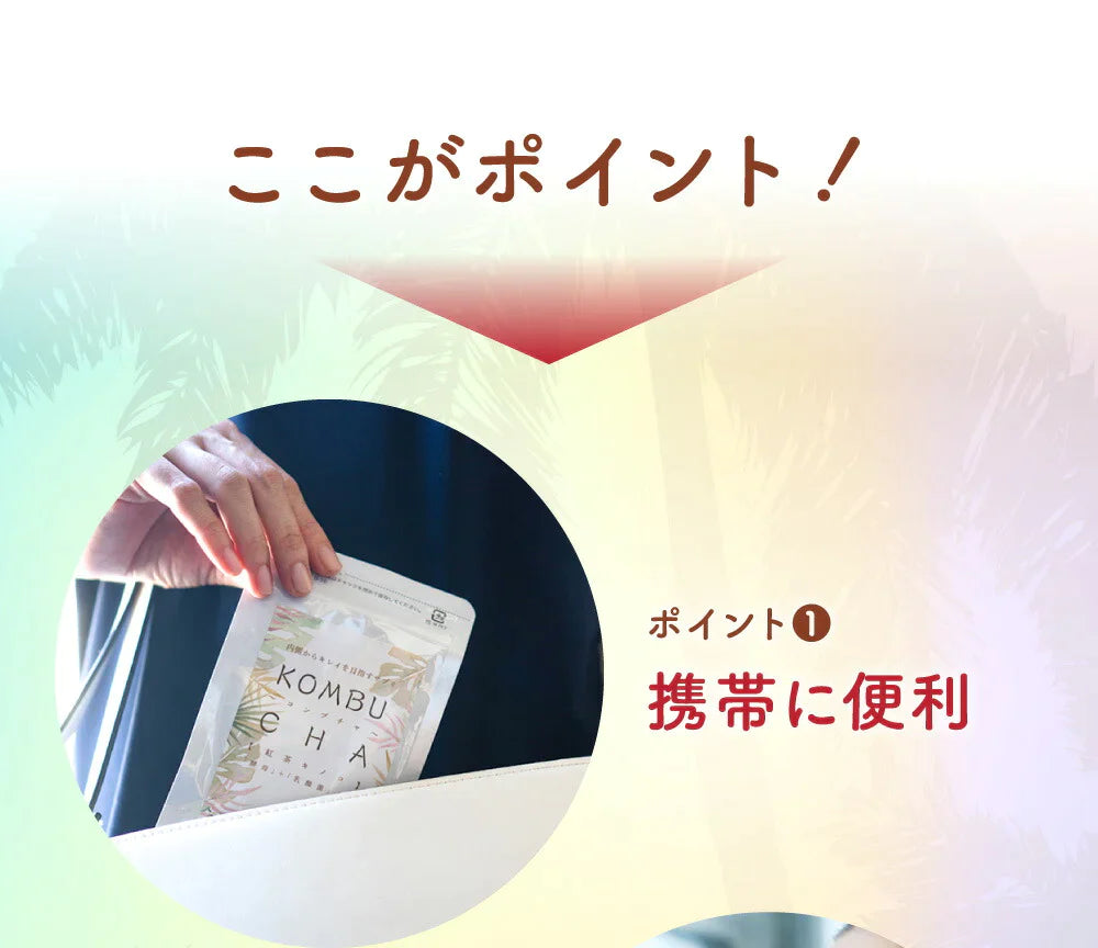 コンブチャ（KOMBUCHA）《3ヶ月分》 酵素 乳酸菌 美容成分 紅茶キノコ 酵母 ビタミンD 葉酸 ビタミンC ビタミンB  大豆ペプチド【ゲリラセール】