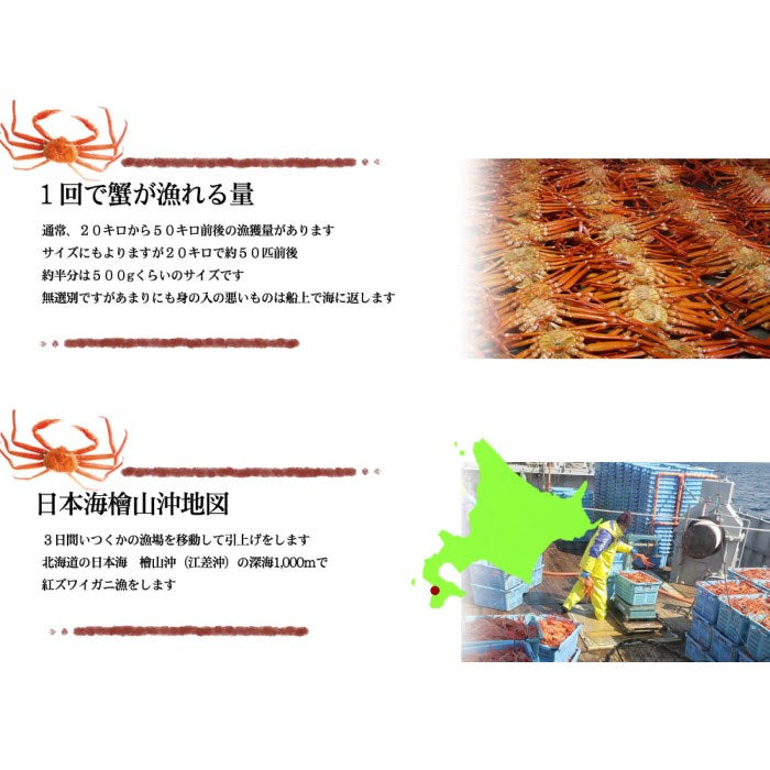 400g（15～20本入れ） 冷凍 生紅ズワイ蟹 南蛮付きポーション 冷凍品 加熱用