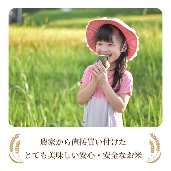 お試し 令和3年 山形県産 つや姫  送料無料 300g（2合） 精米 お米 コメ 米 無洗米