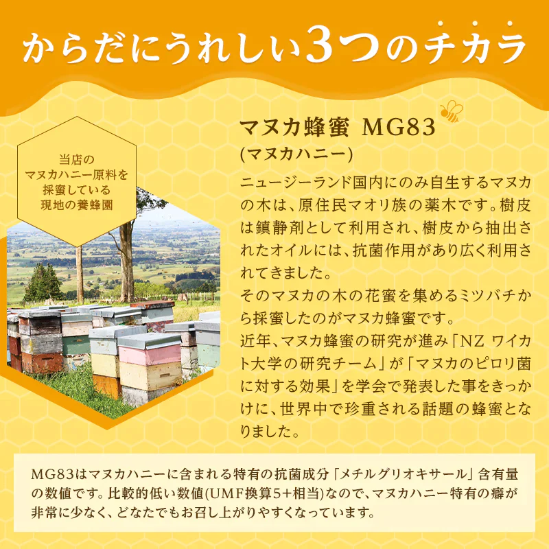 【マヌカハニーMG83】森のしいたけ蜂蜜｜マヌカハニー しいたけエキス 椎茸エキス 乳酸菌 植物性乳酸菌