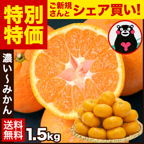 大粒 みかん 訳あり 1.5kg 熊本 送料無料 フルーツ 訳ありみかん 5kg以下 10kg以下 大玉 家庭用 果物 柑橘 食品 蜜柑 フルーツ 果物