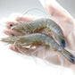 天使の海老 1kg 40~50尾入 送料無料 海老 えび エビ 生食用 刺身 冷凍便 お取り寄せグルメ 食品 ギフト 海鮮