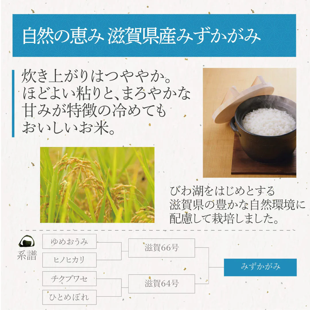 無洗米 米 滋賀県産 近江米 みずかがみ 5kg 令和5年産 新米 お米 白米 おくさま印 国産 食品 ギフト 引っ越し 挨拶 出産 内祝い 母の日 父の日 お中元 お歳暮 結婚 快気 還暦 香典返し お年賀 送料無料