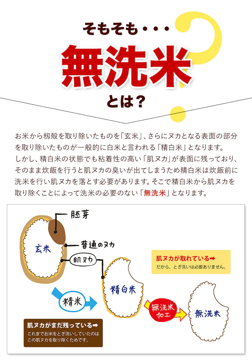 無洗米 10kg (5kg ×2袋) 熊本県産 令和4年産 ひのひかり 6割使用 コメ 精米 白米 熊本ふるさと無洗米【リピート】《7-14営業以内に出荷予定(土日祝日除く)》