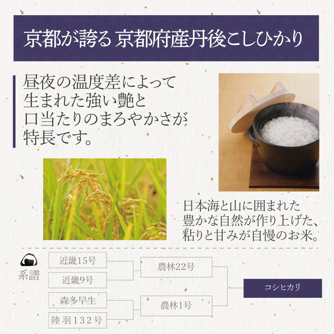 米 精米 京都府産 丹後こしひかり 10kg (5kg×2) 令和5年産 新米 お米 白米 おくさま印 国産 食品 ギフト 引っ越し 挨拶 出産 内祝い 母の日 父の日 お中元 お歳暮 結婚 快気 還暦 香典返し お年賀 送料無料