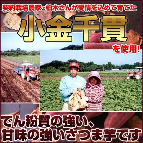 【超得ハイパーSALE】500g 塩けんぴメガ盛り けんぴお徳用 芋けんぴ 送料無料
