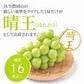 【完売御礼】【超得ハイパーSALE】【9月上旬順次発送】送料無料 岡山産 シャインマスカット 晴王 優品2房 800-900g ぶどう