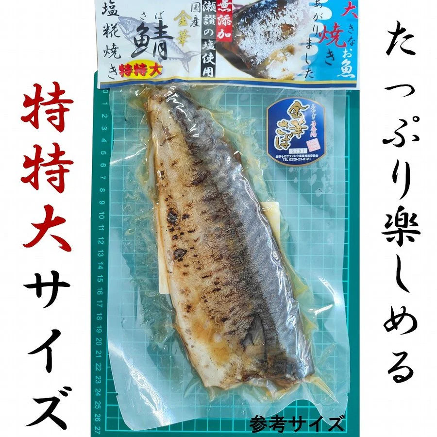 【タイムセール】特特大 国産 金華さば 250g 塩糀焼き さぬきの塩こうじ焼き レトルト メール便