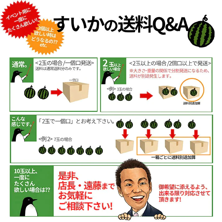 【7月下旬発送】 尾花沢 スイカ 訳あり 1玉 4L 5L（約9kg前後）山形県産 お徳用 ワケあり ワケ待ち 産地直送 キャンプに 海水浴に スイカ割りに ブランド 送料無料 同梱不可 日時指定不可 夏 暑さ対策 食べ物【エコ得】