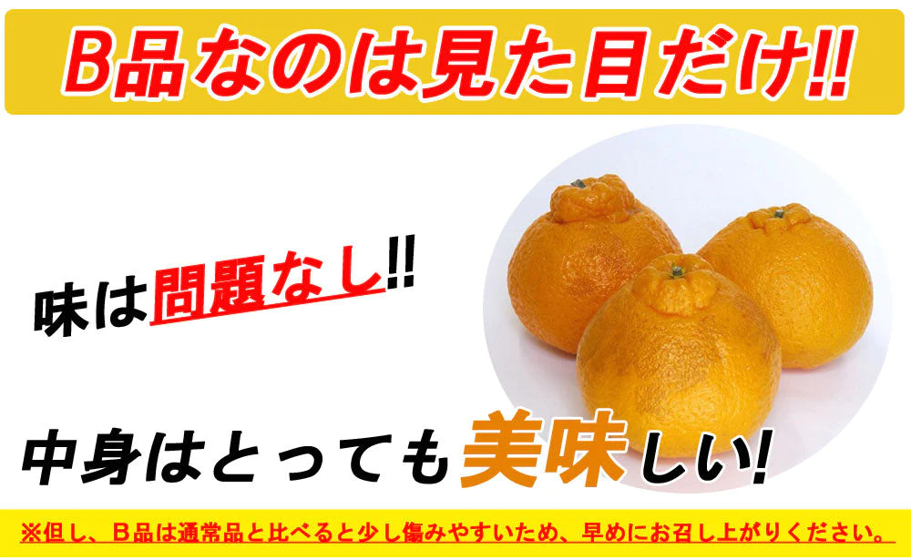 不知火 (デコポン) 訳あり 5kg 送料無料 ご家庭用 箱買い サイズミックス みかん 柑橘 フルーツ 果物 産地直送 愛媛県産  YDF-011