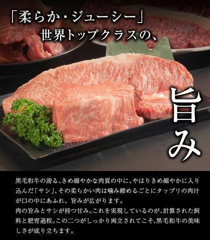 九州産黒毛和牛 厳選ステーキセット ヒレ200g サーロイン300g ステーキ肉 食べ比べ まとめ買いフードロス 食品ロス 削減支援 送料無料
