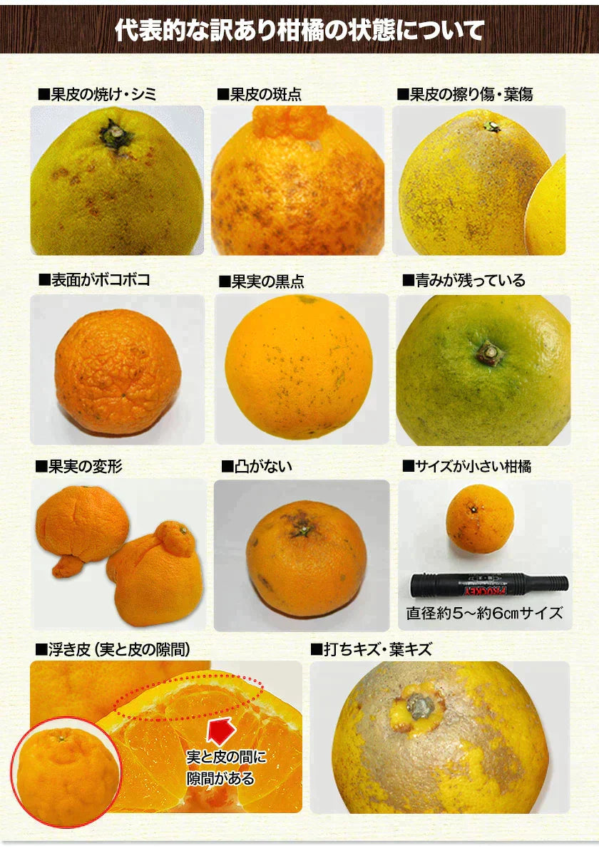 ＼数量限定！／ 福袋 第二弾 みかん 福袋 5kg 前後 送料無料【高級フルーツが当たるかも】訳あり デコみかん デコポン マスク メロン いちご 不知火 八朔 ネーブル 食品 ロス 福袋 食べ比べ セット 旬 柑橘 果物 食品 グルメ フルーツ 予約《3月中旬-3月末旬頃より発送予定》